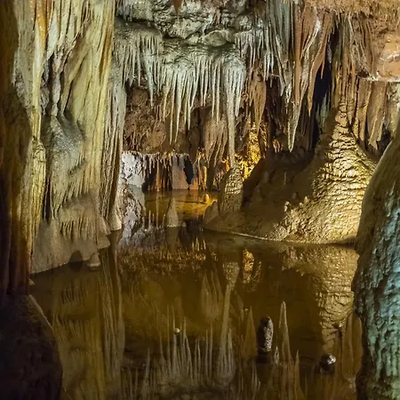 Apartmán In - Istrien 10214