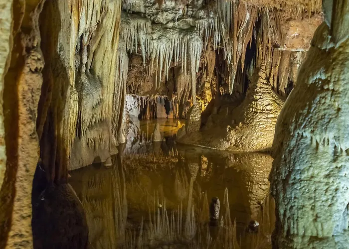 Apartman In - Istrien 10214